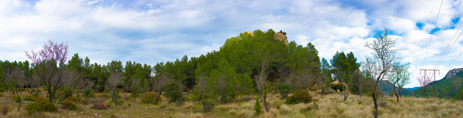 Obraz premium Vistas del Castillo de la Vizaña en el embalse de Arenóso