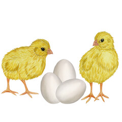 Yellow chickens white egg shell. Farm product. Protein. Happy easter. Hand drawn watercolor illustration isolated on white background. For menu, cookbook design, card