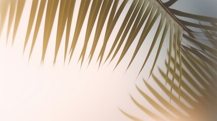 Obraz premium Beautiful abstract banner with green palm leaves shadow beige on white background. Natural leaf concept. Green natural background. Palm tree leaf texture. Summer concept. Abstract floral pattern.