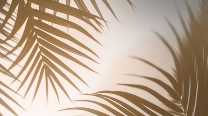 Obraz premium Beautiful abstract banner with green palm leaves shadow beige on white background. Natural leaf concept. Green natural background. Palm tree leaf texture. Summer concept. Abstract floral pattern.