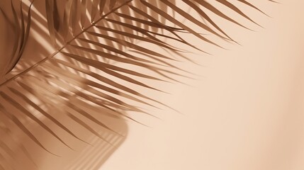 Obraz premium Beautiful abstract banner with green palm leaves shadow beige on white background. Natural leaf concept. Green natural background. Palm tree leaf texture. Summer concept. Abstract floral pattern.