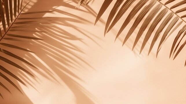 Beautiful abstract banner with green palm leaves shadow beige on white background. Natural leaf concept. Green natural background. Palm tree leaf texture. Summer concept. Abstract floral pattern.