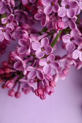 Fototapeta na wymiar Blooming lilac flowers on color background
