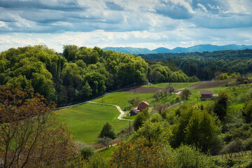 Beautiful rural landscape scenery with vineyards and forest on green hills at Klenice, Croatia, county hrvatsko zagorje 
