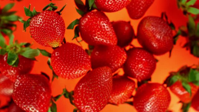 Super Slow Motion Shot of Flying and Rotating Fresh Strawberries on Red Gradient Background at 1000fps.