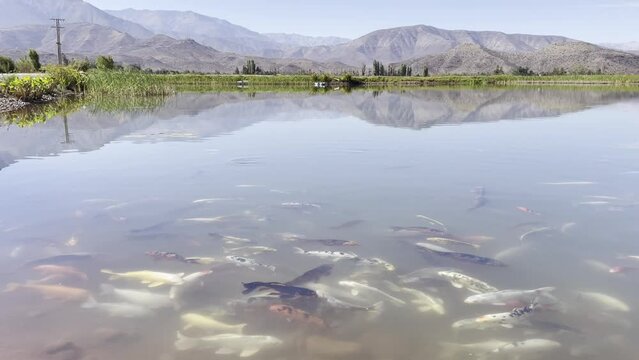 Hunmedaal y cordillera de fondo. Clima templado