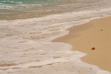 Waves with foam on the Caribbean coast in Mexico.