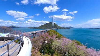 大三島多々羅展望台からの多々羅大橋21 © 川井　泰行