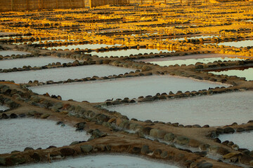 Salt farm in the morning, close-up view of salt ponds