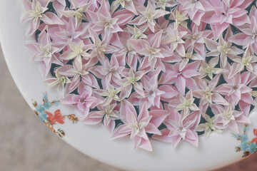 陶器の皿に浮かべた花