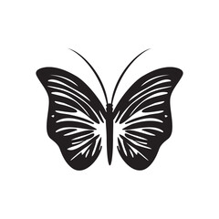 Obraz na płótnie Canvas Butterfly Icon, Moth Symbol, Insect Silhouette, Butterflies Pictogram, Butterfly Vector Illustration