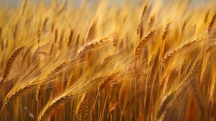 Field of golden ripe wheat, swaying in the wind, against a blue sky with fluffy white clouds. Generative AI
