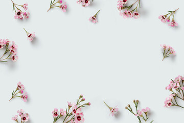 romantic floral frame with tiny delicate pink waxflowers sprinkled over a pale pastel blue background, copyspace / space for your text 