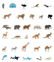 a set with many animals