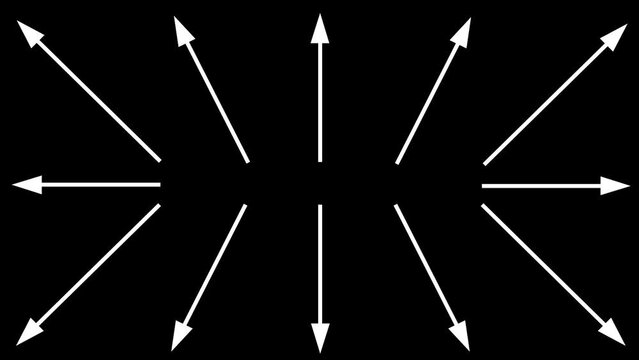 Arrows short regular shape multi drections white on black. Cartoon animation good for any video material. Motion graphic explainer, statistics, graphs, etc...
