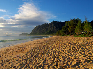 A sandy beach with a mountain in the background