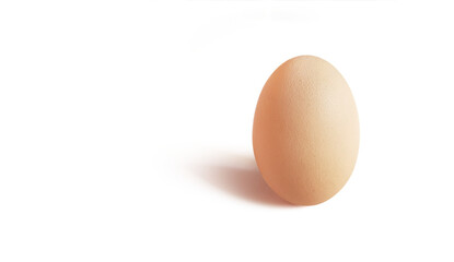 Chicken eggs isolated  PNG transparent