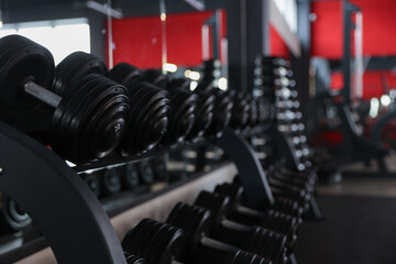 Fototapeta na wymiar Many different dumbbells on stand in gym