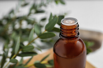 Bottle of eucalyptus essential oil and plant branches against blurred background, closeup. Space for text