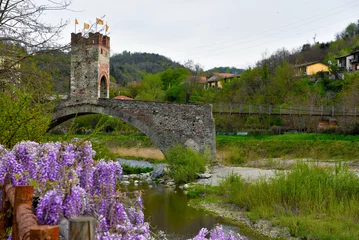 Foto op Aluminium the bridge of the gaietta millesimo Savona Italy  © maudanros