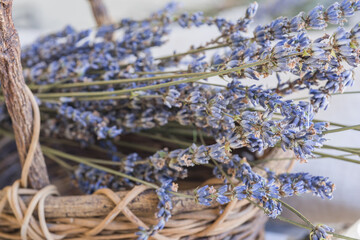 優しい香りが漂うラベンダーポプリ