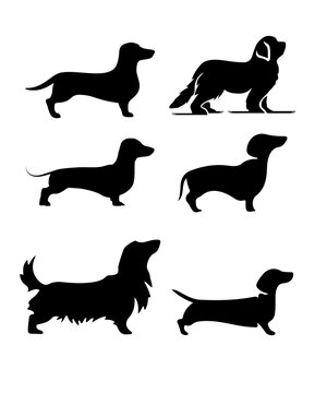 dachshund dog silhouette design dachshund dog vector illustration design