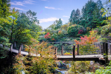 秋晴れの空と紅葉に染まる滝がある公園と吊橋風景
A park and a suspension...