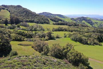 Wine Country | California