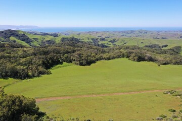 Fototapeta premium Wine Country | California