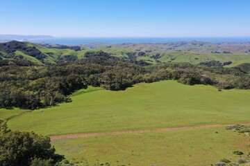 Fototapeta premium Wine Country | California