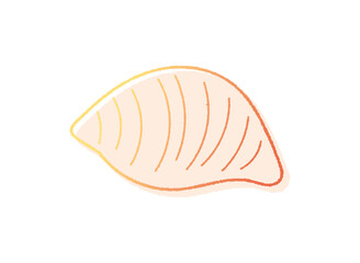 貝がらの手書き線画ベクターイラスト