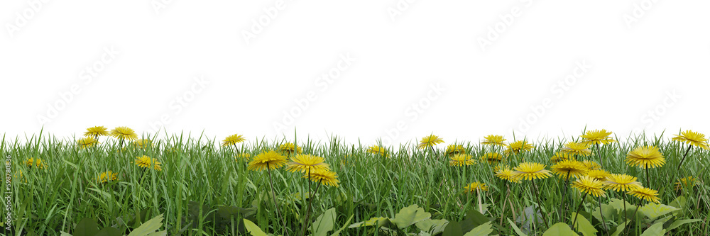 Wall mural green grass and flower fields on transparent background 3d rendering png
