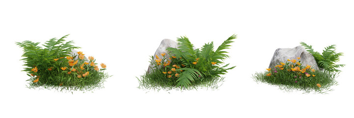 Collection green grass on transparent background 3d rendering png