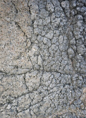 stone wall texture