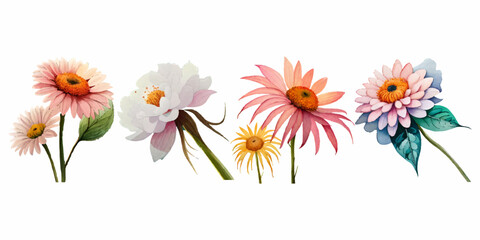 Obraz premium Collection of drawn watercolor flowers