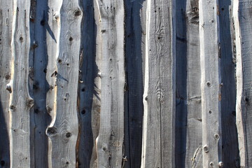 Texture of gray weathered wooden boards.