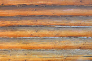 Fototapeta premium Texture of a wall built from logs.