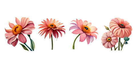 Obraz premium Collection of drawn watercolor flowers