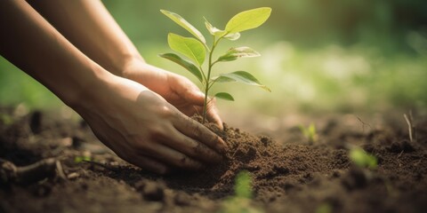 Human hand planting a tree, World environment day concept. Generative AI