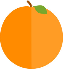 orange fruit illustration