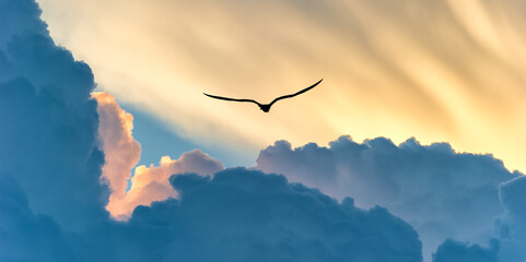 Bird Flying Sunset Clouds Inspiration Hope Banner