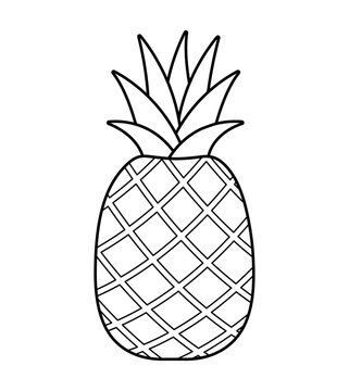 Pineapple Line Drawing Icon Fruit Vector Illustration