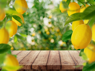 lemon on wood top table at lemon farm 