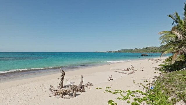Drone flying low over Playa Rincon beach in Samana peninsula, Dominican Republic. Aerial forward and sky for copy space