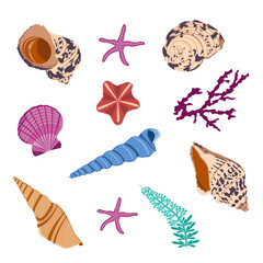 A set of Shells in cartoon style. Vector image of colorful shells, coral and starfish. Objects of the underwater world.