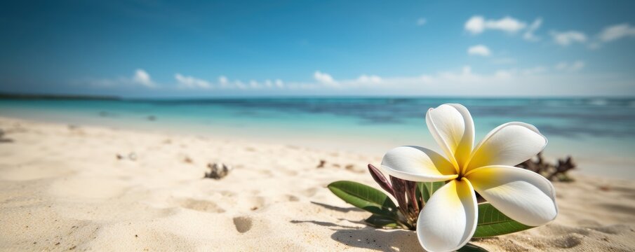 Plumeria (Frangipani) on tropical sea and beach blue sky background, Summer festive time. Generative AI
