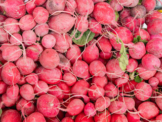 Close up shot of red radish
