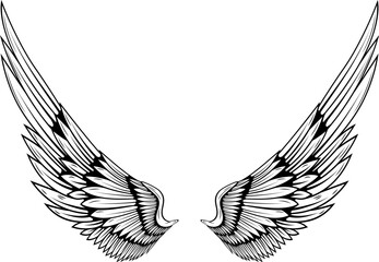 illustration of a pair of wings in black and white,  done in a tattoo-style. Angel wings. illustration of bird wings.