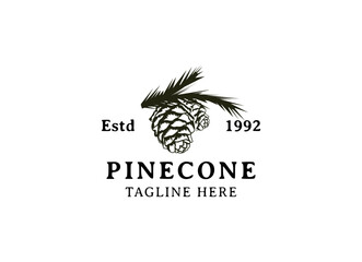Fototapeta na wymiar Pinecone Logo Design. Pinecone icon vector