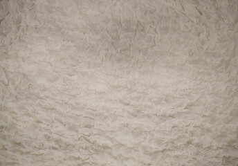 The wrinkled texture of white paper is used as a background.